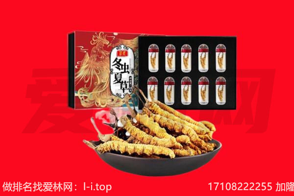 喀什地区莎车县回收虫草.jpg